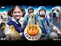 Lagu 777 Charlie Full Movie In Hindi Dubbed | Rakshit Shetty | Sangeetha | Bobby Simha | Review \u0026 Facts