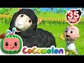 Download Lagu Baa Baa Black Sheep + More Nursery Rhymes \u0026 Kids Songs - CoComelon