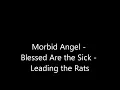 Morbid Angel - Blessed Are the Sick - Leading the Rats