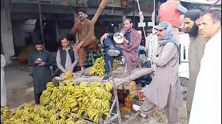 sbzi wala