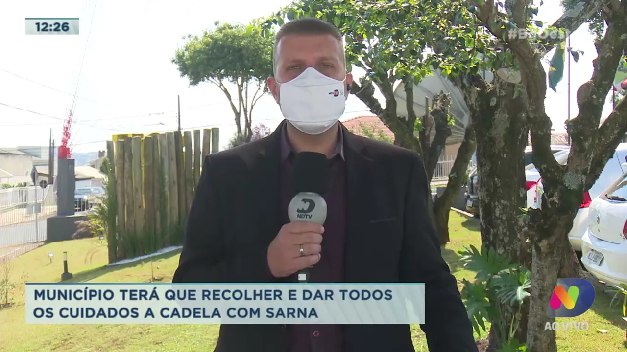 São Lourenço do Oeste terá que recolher e dar todos os cuidados a cadela com sarna