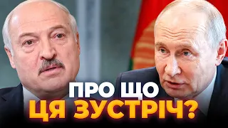 Лукашенко планирует срочно встретиться с Путиным: эфир Вечір.LIVE - 285x160