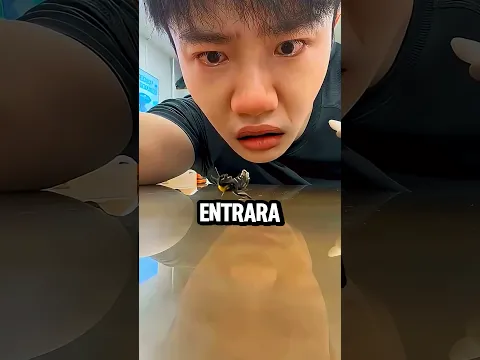 ¡Salvó A Una Abeja Y Cuidó De Ella! 😅