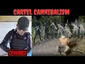 Download Lagu The Fragmentation Of Mexican Drug Cartels | Shocking New Cartel Cannibalism Video