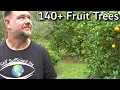 EVERY Fruit Tree We re Growing Full Garden Tour