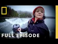 Everything Eats Each Other Full Episode Lawless Island National Geographic