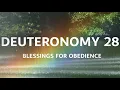 Deuteronomy 28 - Blessings for Obedience 1 Hour Soaking Bible Christian Meditation