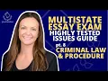 MEE HIGHLY TESTED ISSUES GUIDE Part 8 - CRIMINAL LAW PROCEDURE