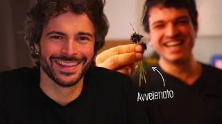 Rischio di avvelenare Leo Gassmann - Cucina Buttata
