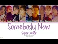 Download Lagu Super Junior (슈퍼주니어) – Somebody New (Color Coded Lyrics) [Han/Rom/Eng]