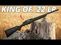 The 10 BEST 22 LR Rifles For Hunting
