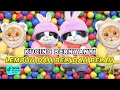 Download Lagu LEMBUH DAH BELI DAH BELAH VERSI KUCING TERBARU