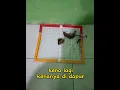 Download Lagu Pasang Lem Tikus Lagi | Solusi Usir Tikus Dari Rumah #tikusnakal #lemtikus #obattikus