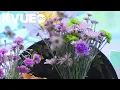 Florists seeing impacts of tariff war on their businesses