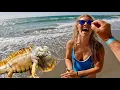 It s Her Birt ay Iguanas Eating Fancy Seafood and a Amazing Beach Resort