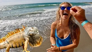 It s Her Birt ay Iguanas Eating Fancy Seafood and a Amazing Beach Resort