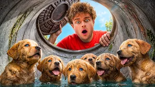 I Found 10 Lost Puppies in a Sewer!
