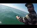 BASS ON LURES & JIGS - DEEP BLUE CHARTER BOAT FISHING - EASTBOURNE - BEACHY HEAD (UK BOAT FISHING)