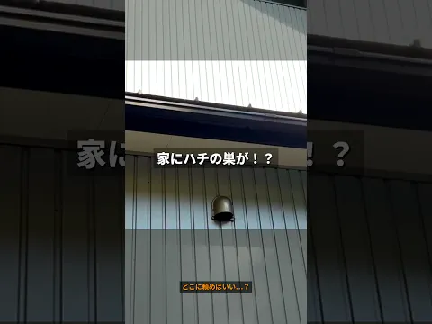 【石川県で稼働中！】（アシナガ9000円〜）（クレカ決済可）予約は直接可能です！