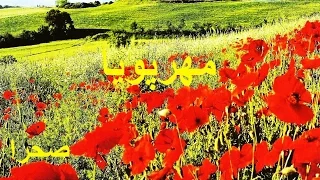 Mehrpouya صحرا آهنگ صحرا Restored Quality Original Tempo 