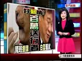 特效電影夯 化妝師學特殊妝為"錢"途