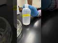 Enzyme Lab 2 Worksheet Temp Activity Rating
