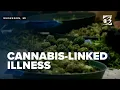 West Michigan dispensary responds as new CDC cannabis diagnosis data shows more ER visits