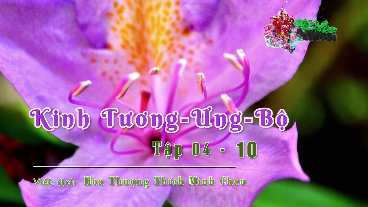 Tập IV - 10_12 - HT Thích Minh Châu 