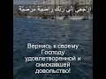 Download Lagu Сура Аль Фаджр |89:28 |Чтение Корана с русским переводом| Quran Translation Surah Al Fajr - الفجر