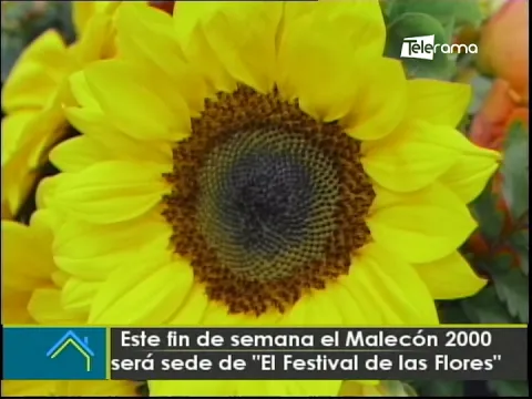 Este fin de semana el Malecón 2000 será sede de El Festival de las Flores