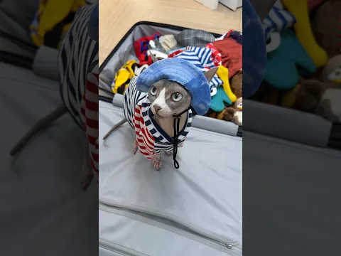 Без медведя никуда😁