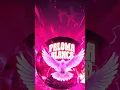 Download Lagu Midnight Tempo - PALOMA BLANCA EDM REMIX