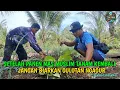 Download Lagu SETELAH PANEN DAUN BAWANG MAS MUSLIM GAS LASUNG TANAM LAGI SEMANGAT BERTAI