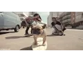 Funny dogs gif 1-gif cani divertenti