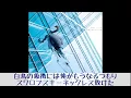 [日本語字幕] Hash Swan, The Quiett, Dok2 - Whitney