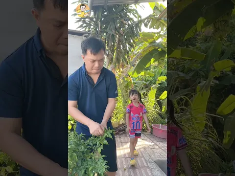 Ba ơi cho con 5 ngàn