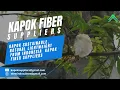 Kapok Sustainable Natural Light weight From Indonesia Kapok Fiber Suppliers