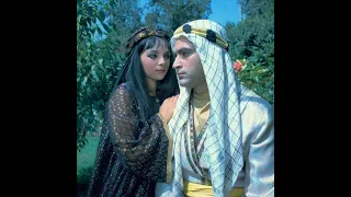 علی صادقی من آمدم خواننده ایرانی هنرمندان ایرانی 