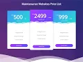Professional Pricing Plans Section Design using HTML and CSS