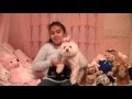 Vivi-Anne Stein has a Youtube Channel NOW