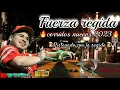 Lagu ❌FUERZA REGIDA ❌pisteando con la regidas mix de corridos nuevos 2023 pura 🔥🔥🔥