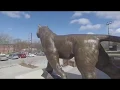 Campus tour