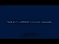 Download Lagu WILDFLOWER back vocals FULL @BillieEilish