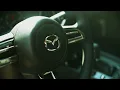 Nelson CX5 Cool Springs 2