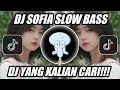 Lagu Dj Sofia Slow Beat Viral Tiktok Terbaru 2021 | Dj Sofia Clairo Slow Beat Viral.