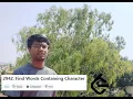 Leetcode Daily Problem 2942 Find Words Containing Character