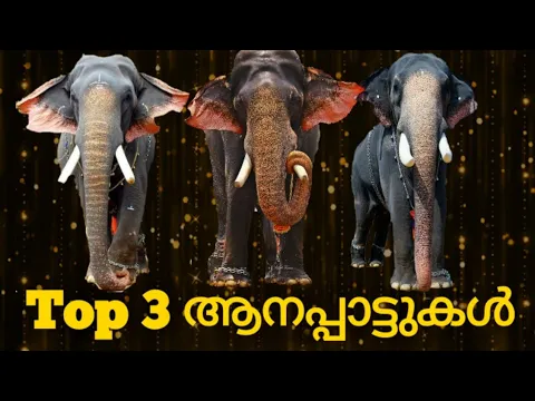 Download MP3 Top 3 kerala elephant songs|Sivasundar song|Sivaraju|Chirakkal Kalidasan|Kerala elephant|AGKCreation