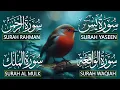 Lagu Most Beautiful Surah Yaseen (Yasin) | Surah Rahman | Surah Waqiah | Surah Mulk |