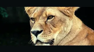 Daniel Deuschle ENDURING HOPE VonPid Remix 