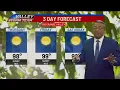 3 Day Forecast